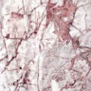 Meet your Posher, Nevaeh